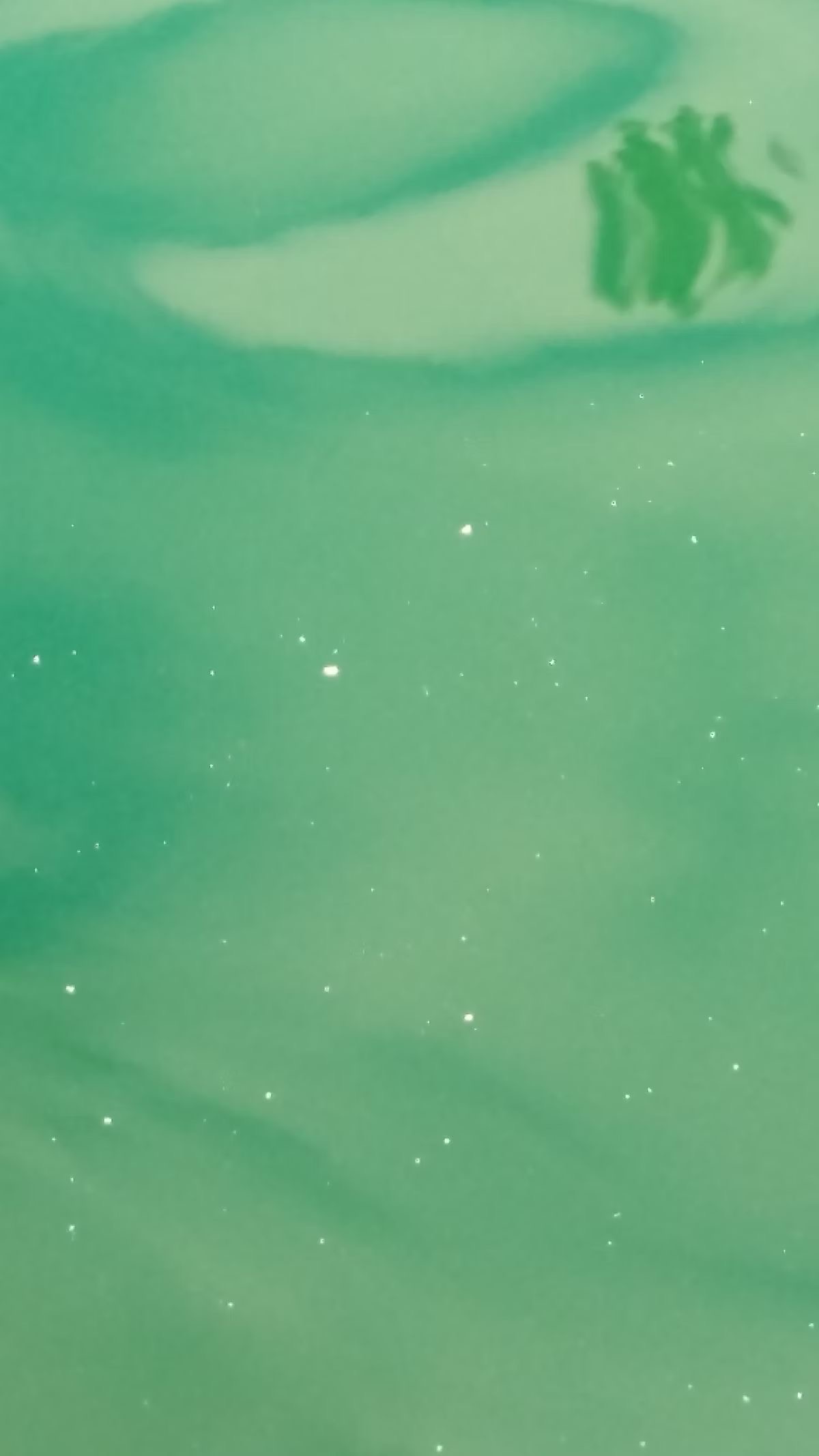 Green - 96084AF1-38D3-4289-B104-4B100397B9D1.jpeg