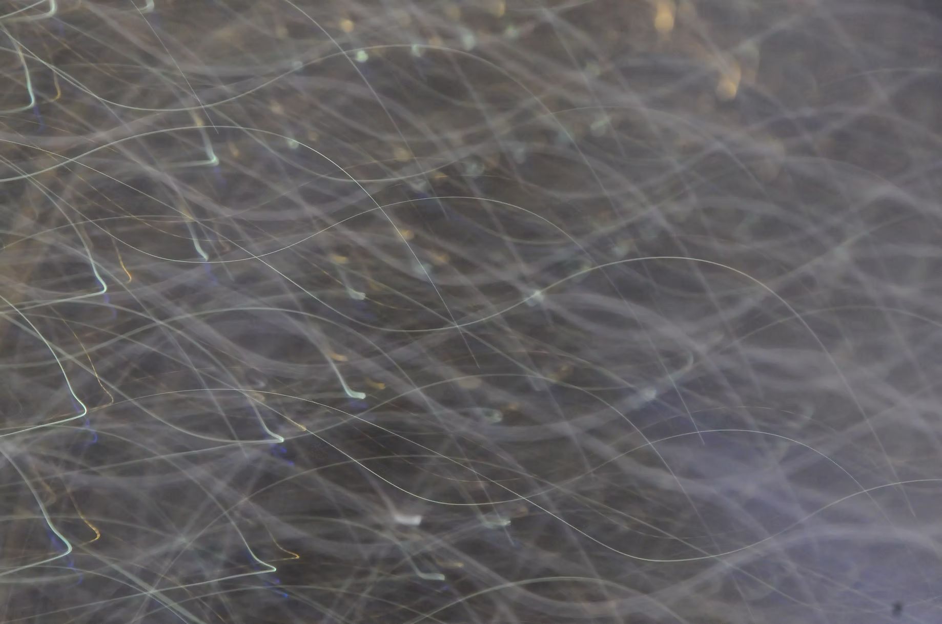 kinetic abstraction 5.jpg