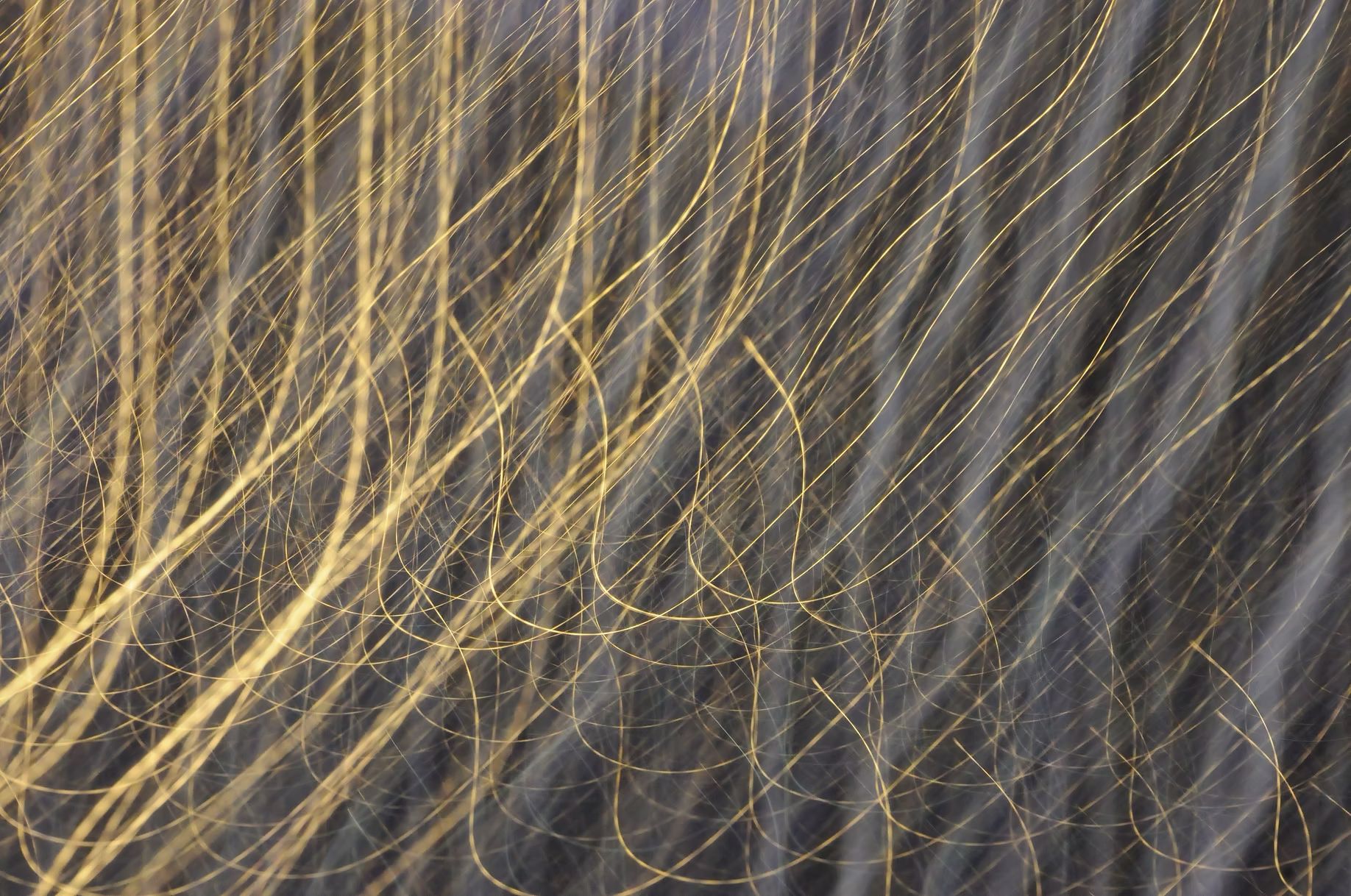 kinetic abstraction1.jpg