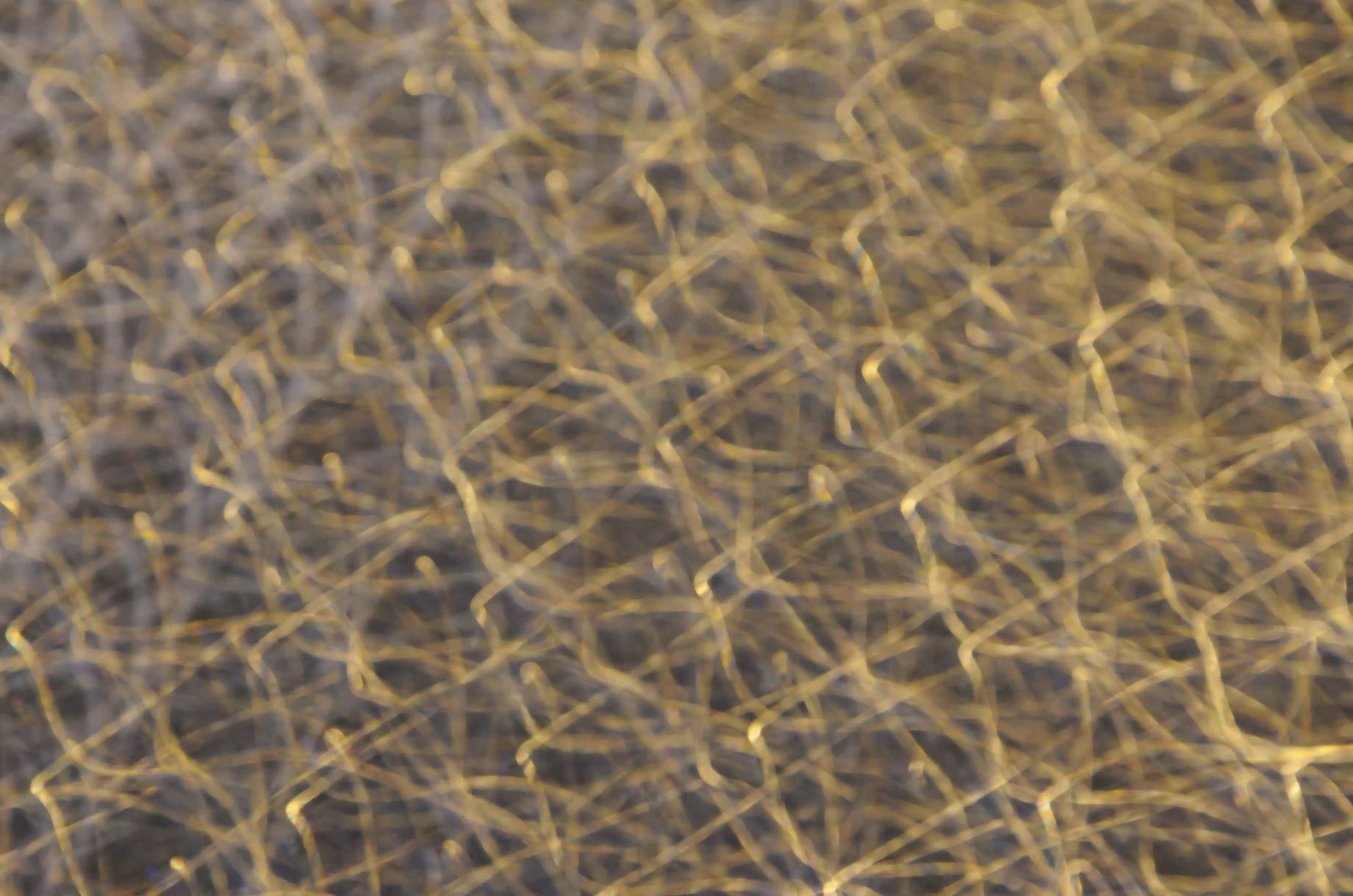 kinetic abstraction6.jpg